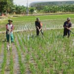 IMG-20240731-WA0030 IMG-20240731-WA0030