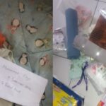AddText_10-17-06.50.00