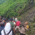 IMG-20241108-WA0005 IMG-20241108-WA0005