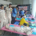 IMG-20241118-WA0014