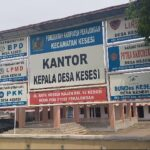 IMG-20241217-WA0042 IMG-20241217-WA0042