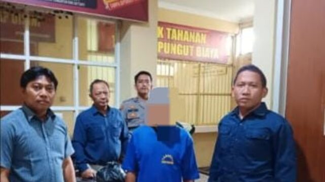 IMG-20250125-WA0014 IMG-20250125-WA0014