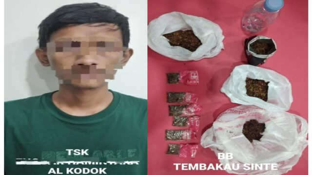 Pelaku Narkoba Pelaku Narkoba