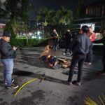 IMG-20250523-WA0044 IMG-20250523-WA0044