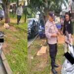 AddText_02-02-12.55.31 AddText_02-02-12.55.31