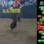 AddText_03-07-07.25.19