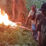 Polisi Bakar Habis Lapak Narkoba